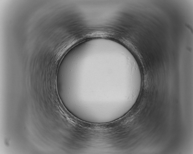 X0000103140529200808221106