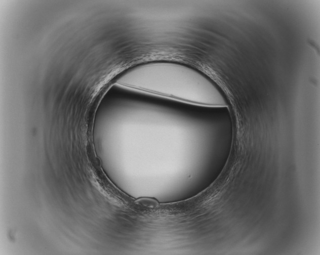 X0000103140530200808221106
