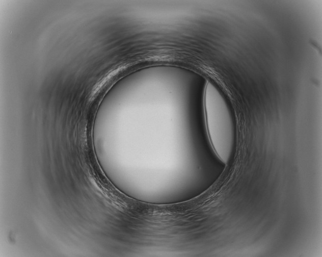 X0000103140531200808221106