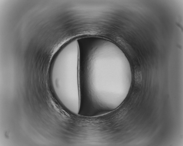 X0000103140532200808221106