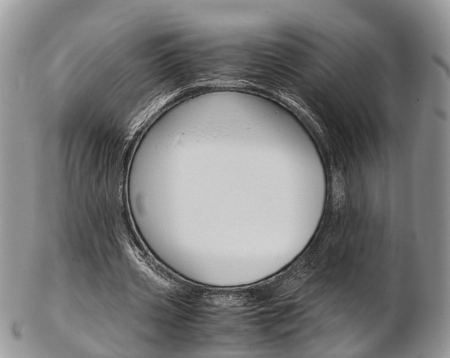 X0000103140533200808221106