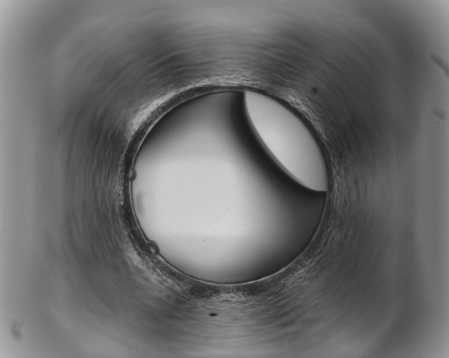 X0000103140536200808221106