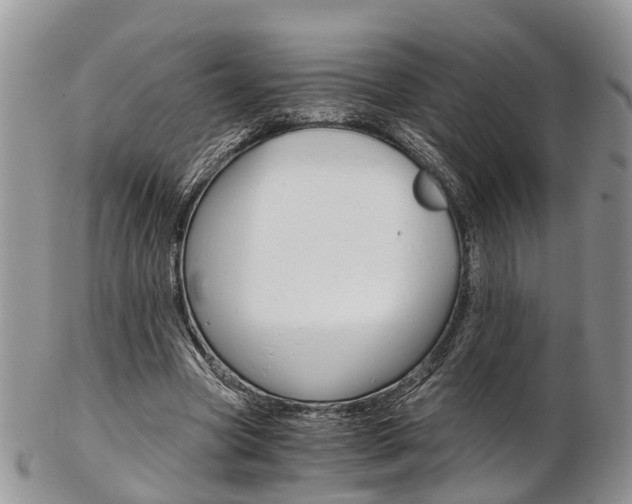 X0000103140537200808221106