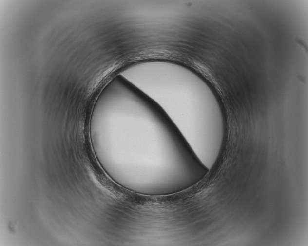 X0000103140538200808221106