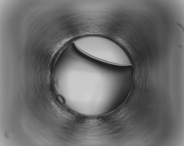 X0000103140540200808221106