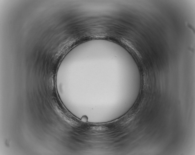 X0000103140541200808221106