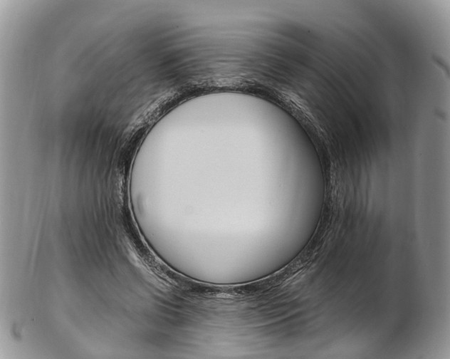 X0000103140542200808221106