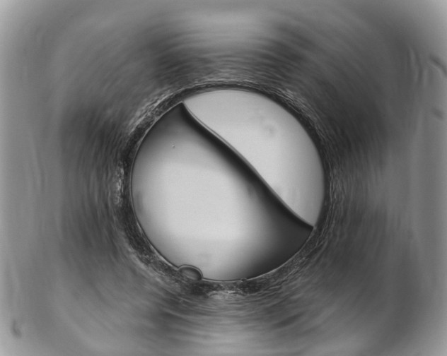 X0000103140544200808221106