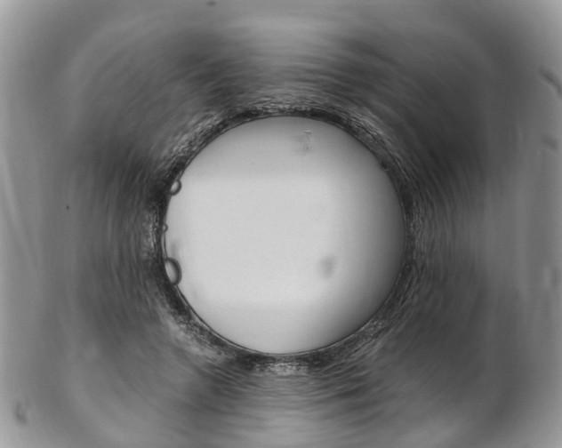 X0000103140546200808221106