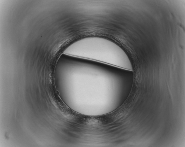 X0000103140547200808221106