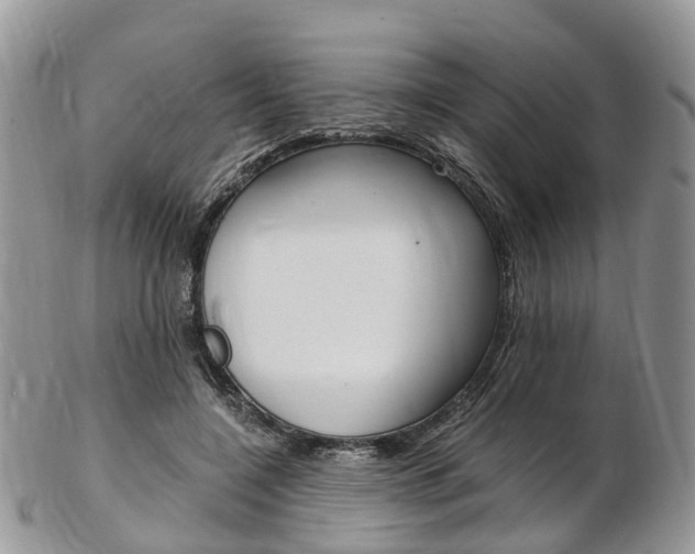 X0000103140548200808221106