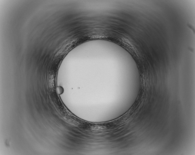 X0000103140549200808221106