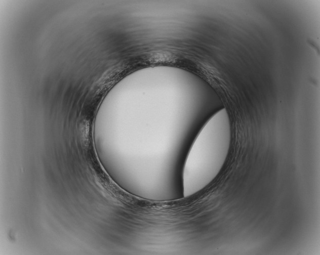 X0000103140550200808221106