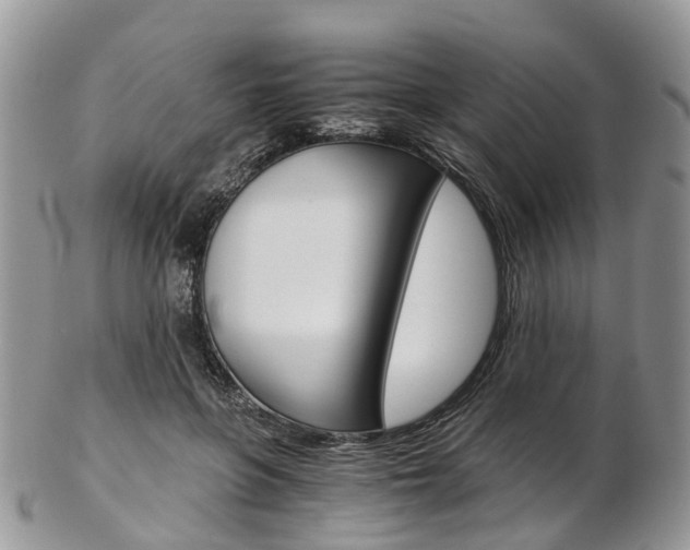 X0000103140551200808221106