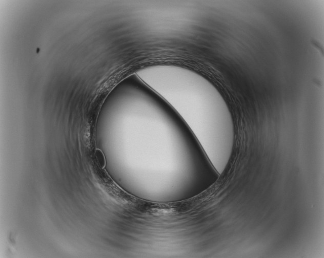X0000103140552200808221106