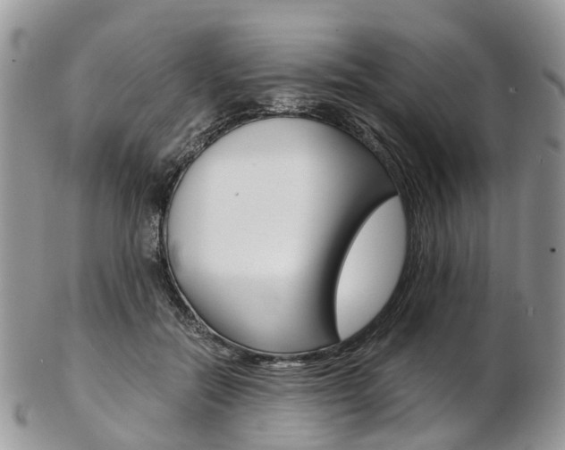X0000103140554200808221107