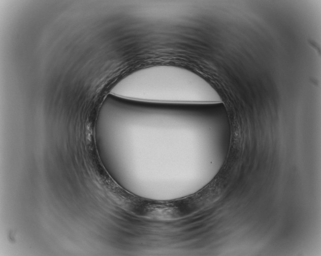 X0000103140555200808221107