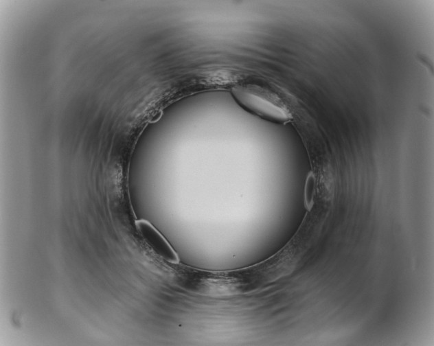 X0000103140556200808221107