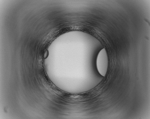 X0000103140557200808221107