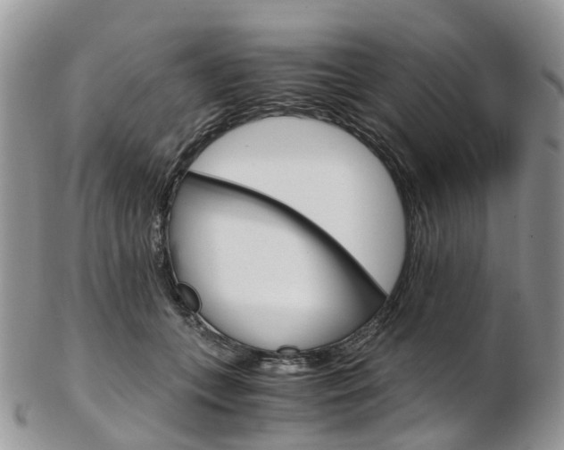 X0000103140559200808221107