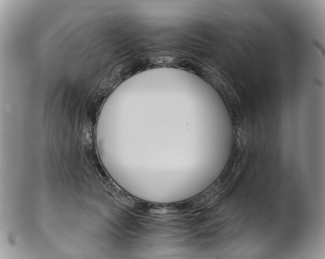 X0000103140561200808221107