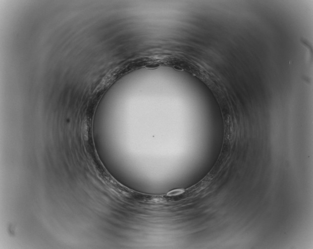 X0000103140562200808221107