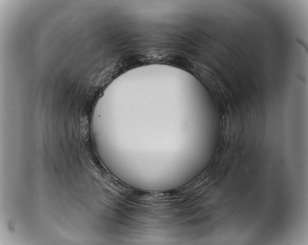 X0000103140563200808221107