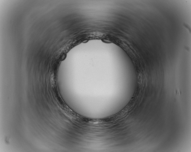 X0000103140564200808221107