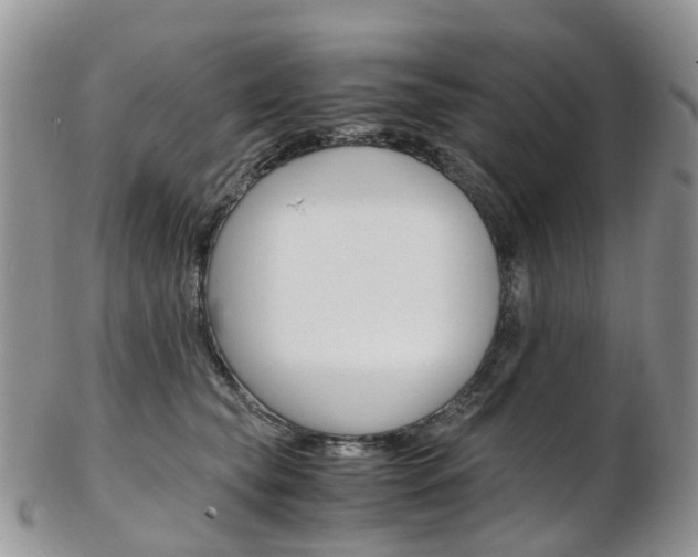X0000103140565200808221107