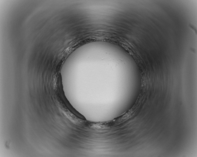 X0000103140568200808221107