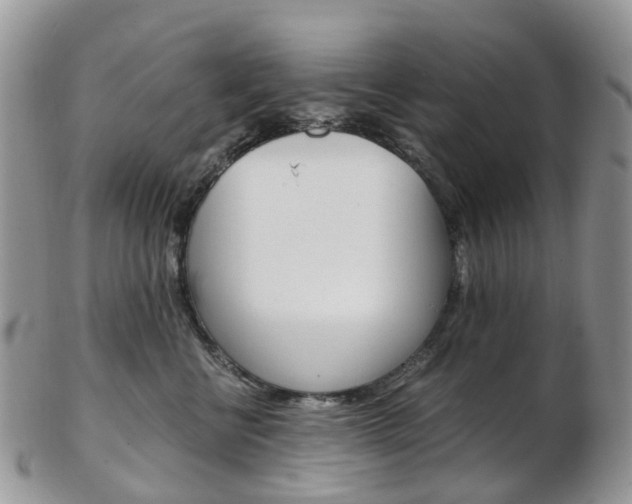 X0000103140570200808221107