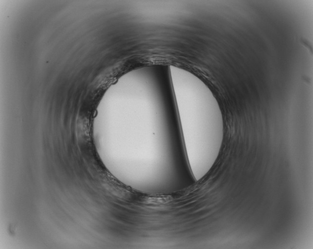 X0000103140571200808221107
