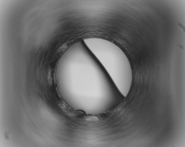 X0000103140572200808221107