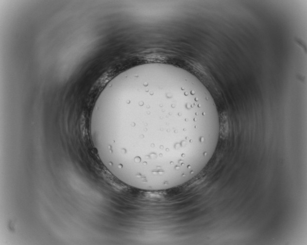 X0000103140573200808221107