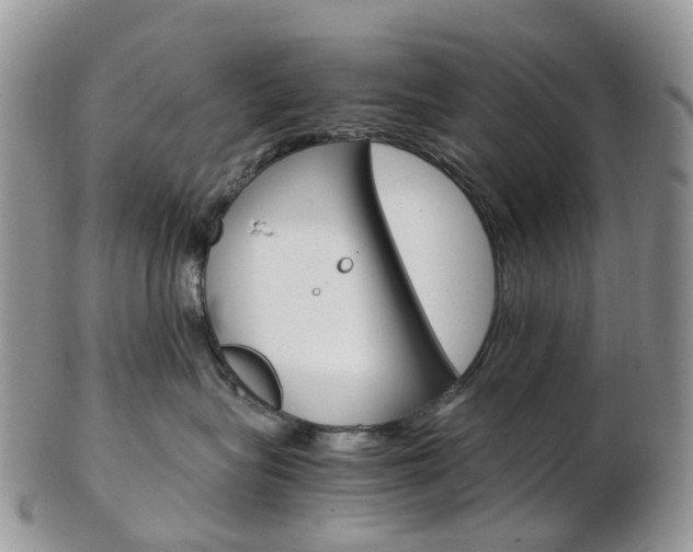 X0000103140575200808221107