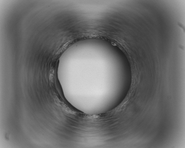 X0000103140576200808221107