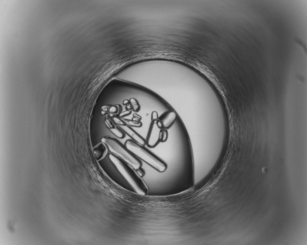 X0000103140577200808221106