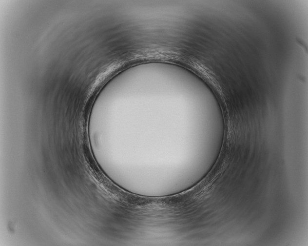 X0000103140578200808221106