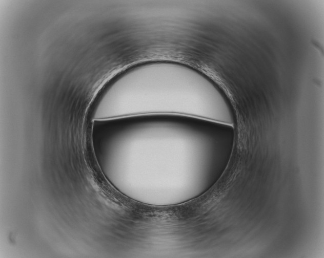 X0000103140580200808221106