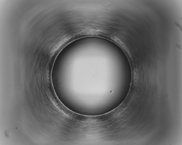 X0000103140581200808221106
