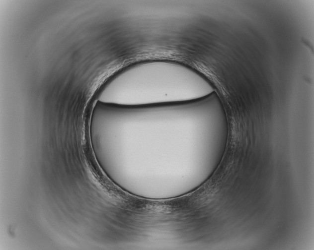 X0000103140582200808221106