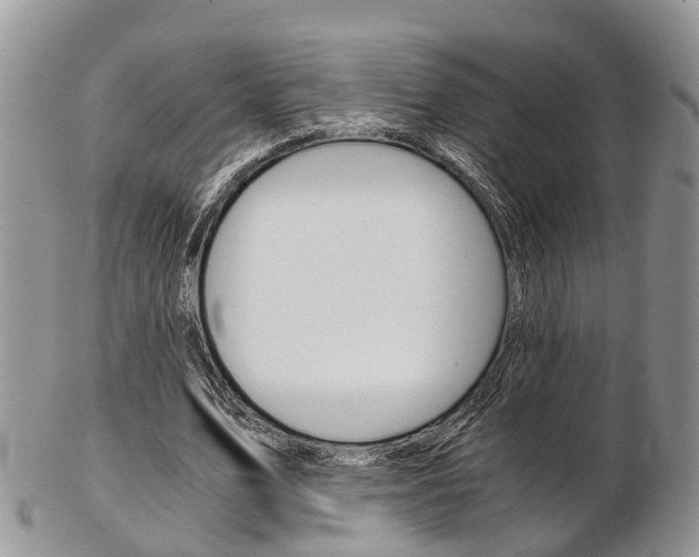 X0000103140583200808221106