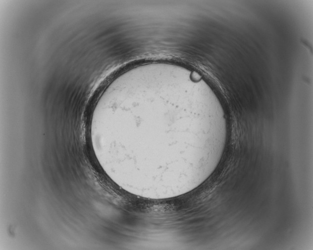 X0000103140584200808221106