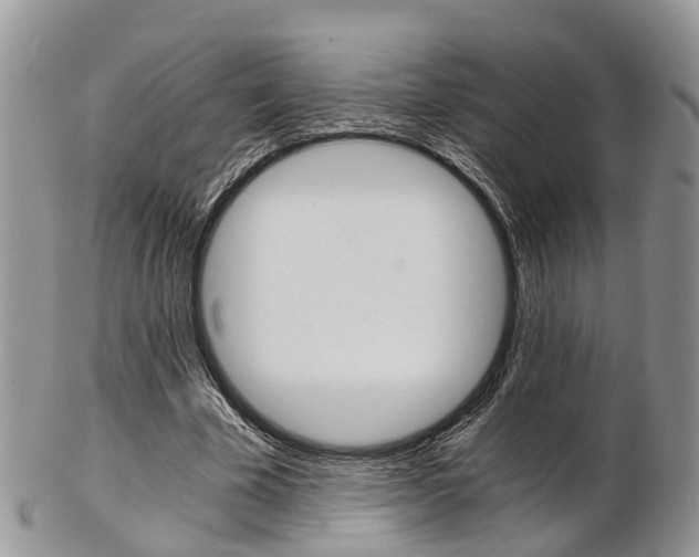 X0000103140585200808221106