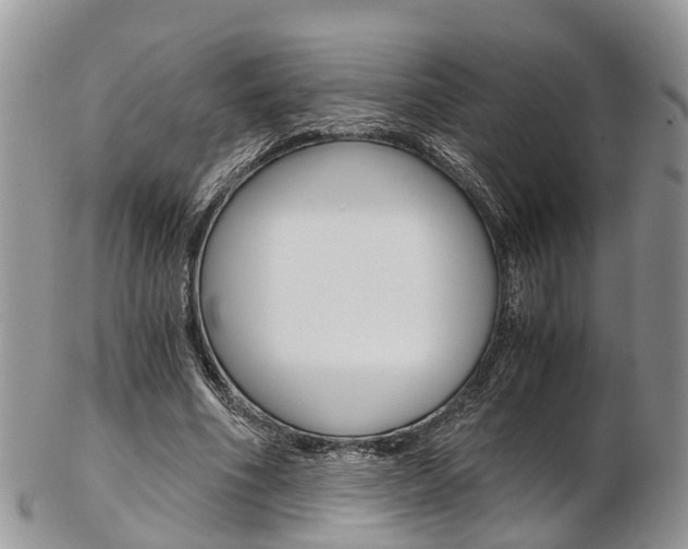 X0000103140586200808221106