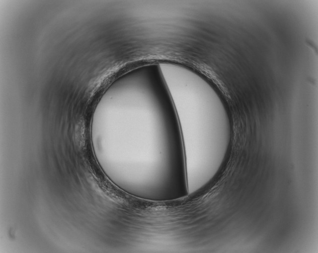 X0000103140588200808221106