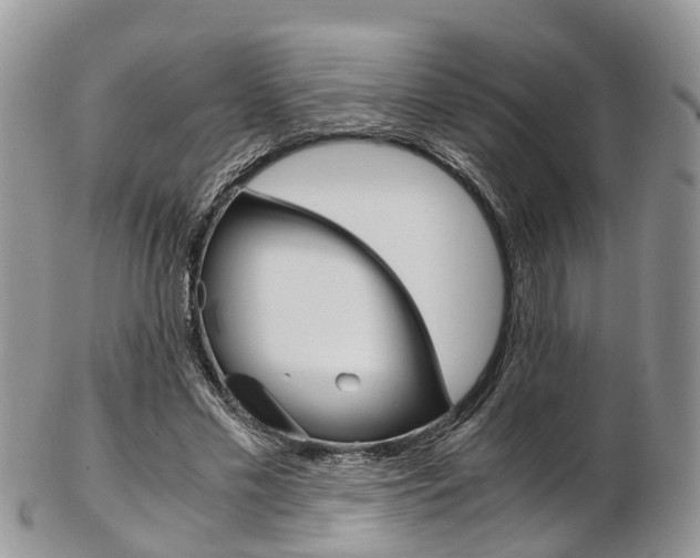 X0000103140589200808221106