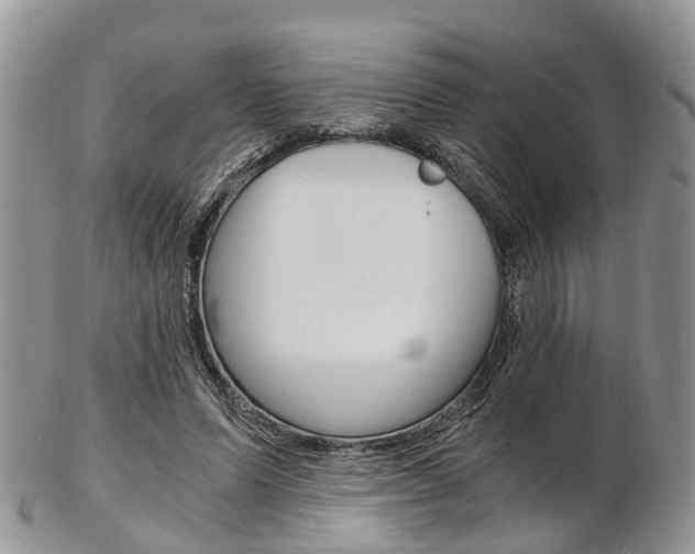 X0000103140591200808221106
