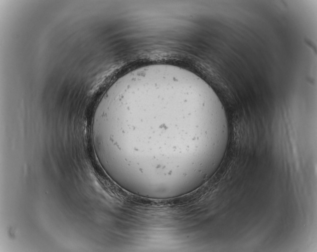 X0000103140592200808221106