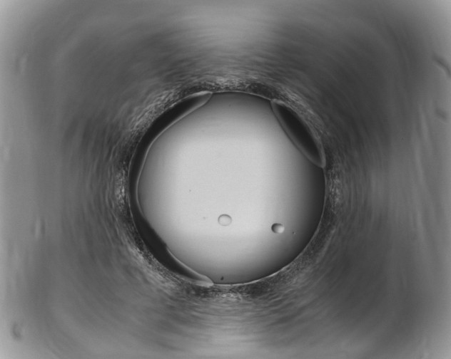 X0000103140593200808221106